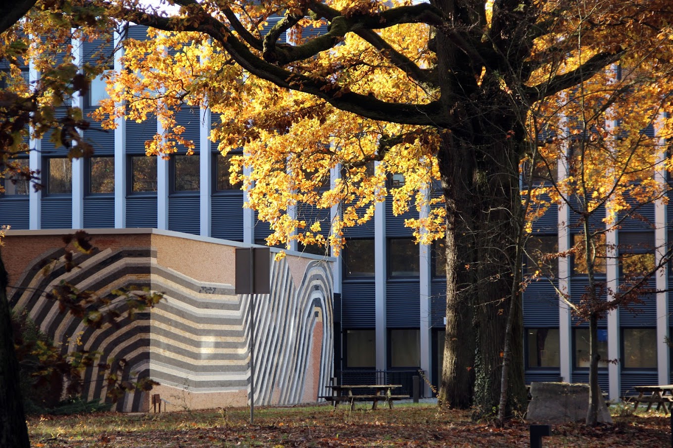 Experiment Setup for Project 2